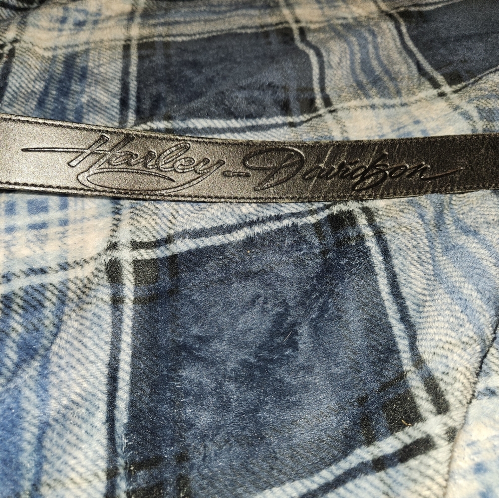Harley Davidson - Picture 2 of 6